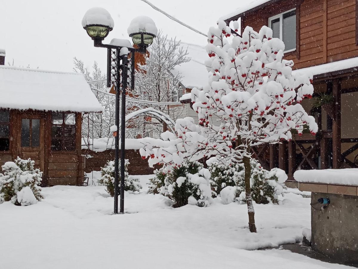 Krokus House Wierchowina Zewnętrze zdjęcie